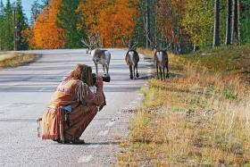 Darek Karp - fotograf natury - ma wśród fachowców poważanie.