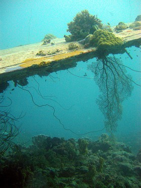 Być może kolejna ekspedycja TIGHAR odnajdzie zatopiony wrak Electry w wodach otaczających wysepkę Nikumaroro.