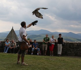Stara Lubownia, pokaz sokolników na zamkowym dziedzińcu.