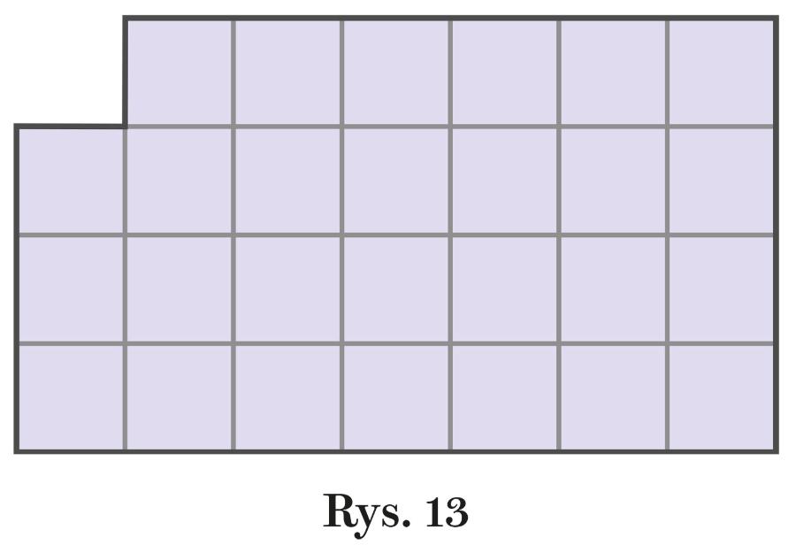 Rys. 13