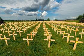 Latem 2013 r. aktywiści Greenpeace ustawili tysiąc krzyży z napisem „Węgiel zabija” w pobliżu Elektrowni i Kopalni Węgla Brunatnego Bełchatów.