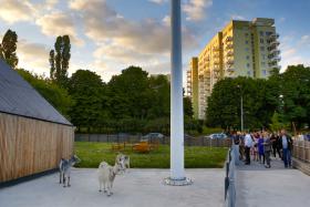 Piękne okoliczności przyrody! Służewski Dom Kultury Grand Prix otrzymał w zeszłym roku. Analizując ten projekt, jurorzy zwrócili uwagę na kilka jego walorów. Przede wszystkim na społeczny kontekst.