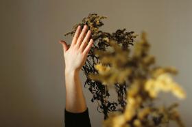 Jakub Rebelka „Atomowa wiosna”, 2008 r.