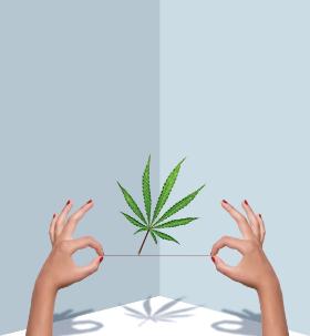 Zanim zalegalizowano w Polsce medyczną marihuanę, ludzie leczyli się, głównie łamiąc prawo.