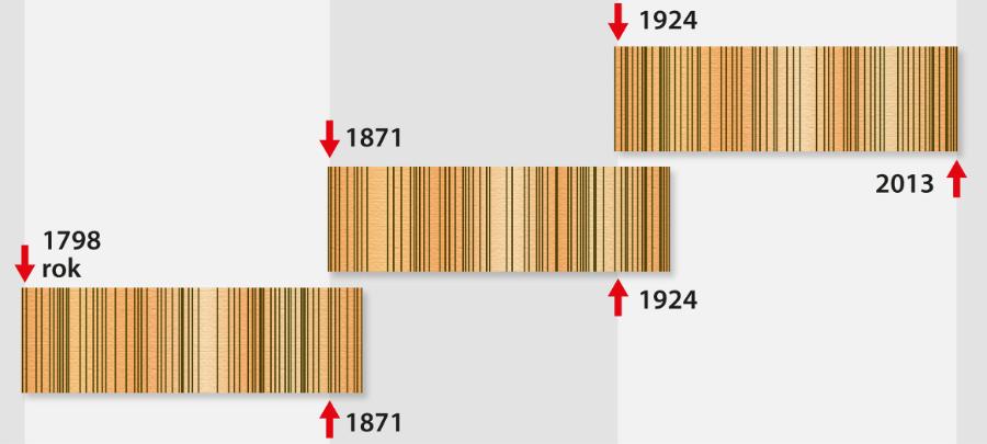 Schemat tworzenia „drewnianej osi czasu”.