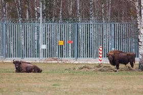 Rząd nie ma żadnej pozytywnej wizji na przyszłość dla tej części Polski.