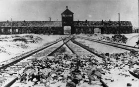 Dziś w ośmiu państwach Europy obowiązuje zakaz negowania Holocaustu, a w kolejnych 12 – zakaz negowania jakiegokolwiek ludobójstwa. Na zdjęciu tory kolejowe prowadzące do niemieckiego obozu Auschwitz-Birkenau, 1945 r.