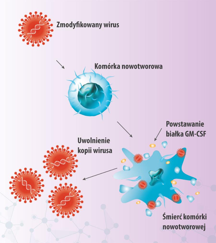 Mechanizm działania leku przeciwnowotworowego opartego na wirusie z wbudowanym genem GM-CSF (czynnik stymulujący tworzenie kolonii granulocytów i makrofagów)