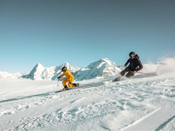 Jungfrauregion, Telemark Schilthorn