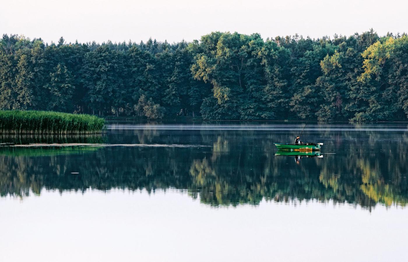 Jezioro Trzesiecko.