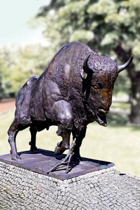 Przez lata znakiem firmowym banku Pekao SA był żubr.