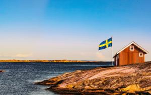 Reforma szwedzkiej psychiatrii polega głównie na jej deinstytucjonalizacji, czyli odejściu od leczenia w dużych szpitalach psychiatrycznych na rzecz opieki środowiskowej.