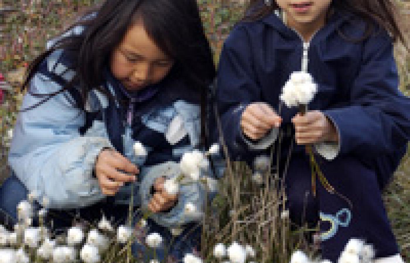 Dzieci na polach bawełny