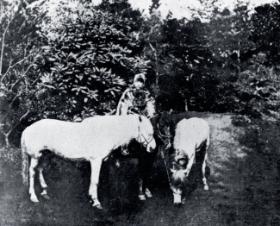 Mjr Fukushima Yasumasa w czasie podróży konnej z Berlina do Władywostoku, 1892 r.