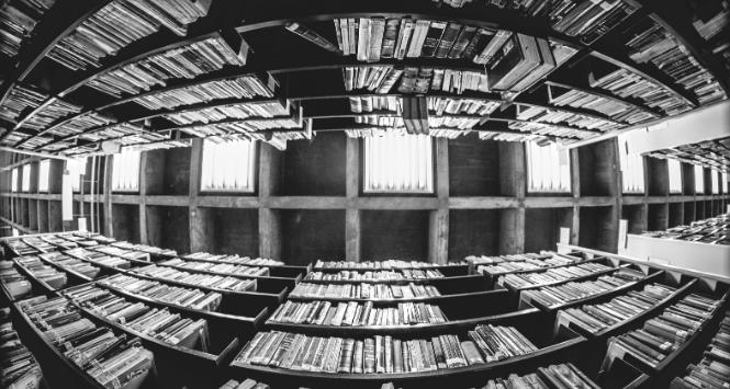 Nauka w Polsce od lat nie jest traktowana jak inwestycja, lecz jak koszt.