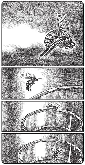 Bonus: mucha z komiksu „Bez końca”, która wyląduje na iPadzie.