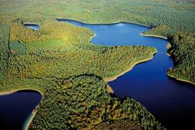 Jezioro Großer Fürstenseer w Parku Narodowym Müritz – piękne plaże, bogactwo flory i fauny oraz możliwość wędkowania Jezioro Großer Fürstenseer znajduje się na Pojezierzu Meklemburskim w otulinie Parku Narodowego Müritz. Liczne kąpieliska i krystalicznie czysta woda zachęcają do wypoczynku wśród nieskazitelnej przyrody. Jezioro o powierzchni 252 hektarów graniczy od północy z lasem bukowym w regionie Serrahn wpisanym na listę światowego dziedzictwa UNESCO. Großer Fürstenseer to prawdziwy raj dla wędkarzy i miłośników wypoczynku nad wodą. Obszar objęty jest ścisłą ochroną, dlatego po jeziorze nie można poruszać się łódkami motorowymi.