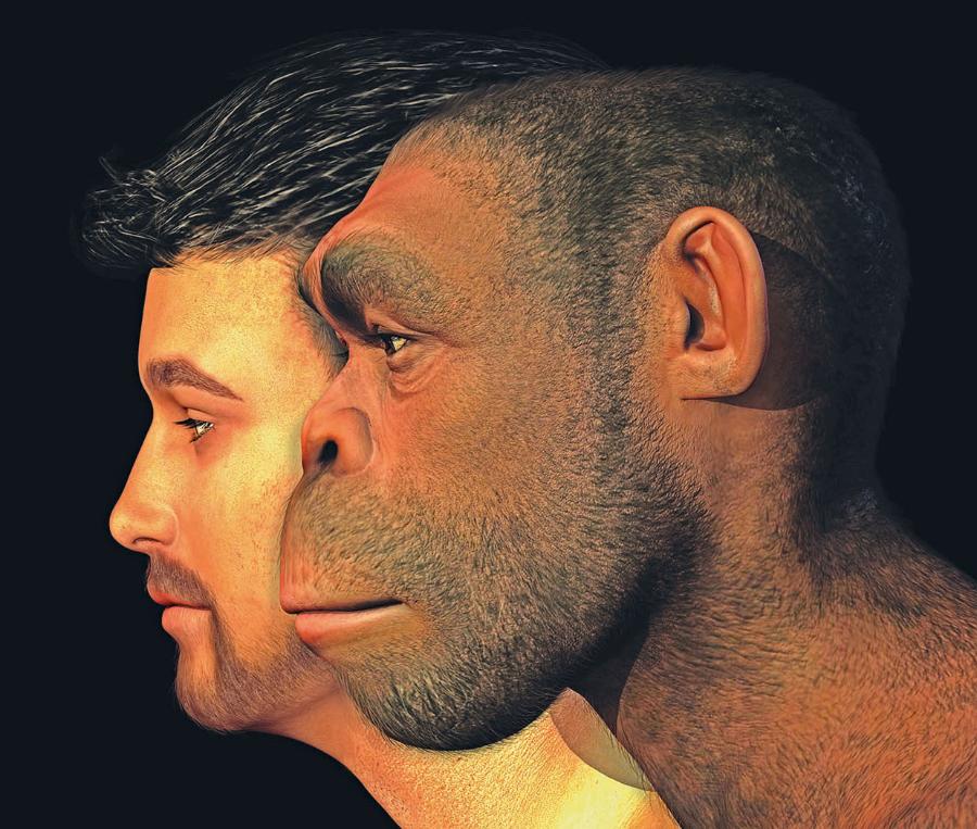 Porównanie wyglądu współczesnego człowieka i Homo erectus.