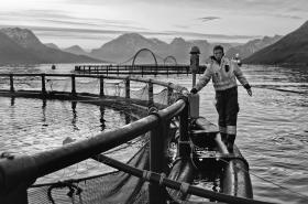 26-letni Morten przy części farmy, którą się opiekuje.