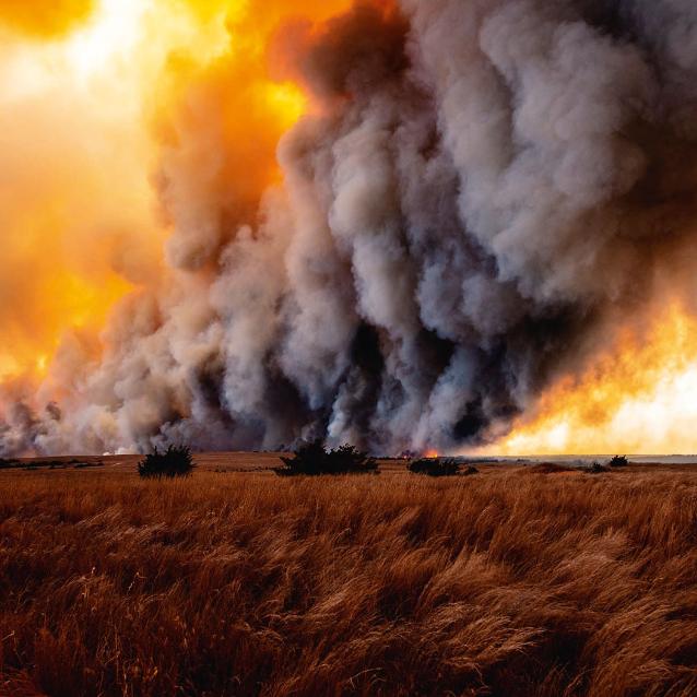 Olbrzymi obłok dymu unoszący się nad płonącą prerią w Oklahomie. Z takich obłoków mogą powstawać ogniste chmury burzowe (pyrocumulonimbusy).