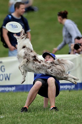 ale także ich właściciele.