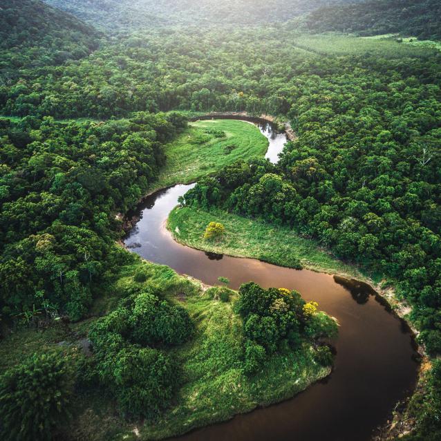 Mata Atlântica (las atlantycki) w Brazylii