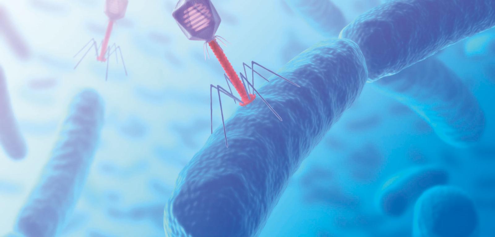 Bakteriofag infekuje materiałem genetycznym bakterię (wizja artystyczna).