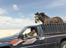 Czy nowe technologie i ich twórcy robią ludzi w konia? Maszyny stają się coraz lepsze, a ludzie się nie zmieniają. W konsekwencji czeka ich los koni.