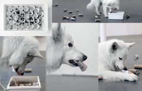 Tektura to jest to. Potrzebne będą rolki po papierze toaletowym i pudełko po butach.