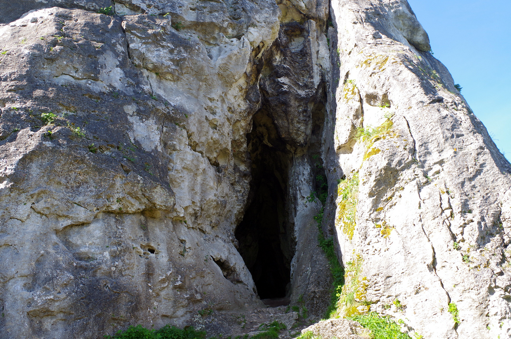 „Nasi” neandertalczycy byli częścią wielkiej europejskiej rodziny. Dowodzi tego znalezisko w Stajni