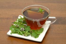 Sięgając po leki roślinne należy liczyć się z ryzykiem wystąpienia działań niepożądanych lub z przeciwwskazaniami do stosowania niektórych preparatów.