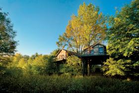 Domki na drzewie. Jeden z hitów nadchodzących wakacji.