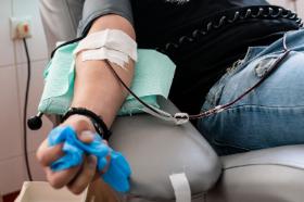 W ostatnich miesiącach rząd sporządził projekt specustawy o krwiodawstwie i krwiolecznictwie, z którym jednak zapoznać się nie można, bo jest tajny.