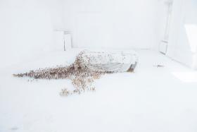 Gabriela Weselak – „Błony umysłu”