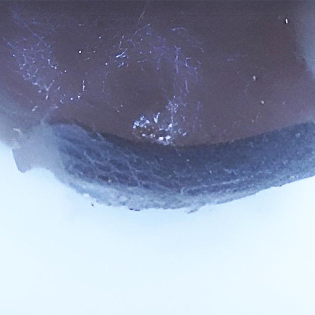 Pulsar - wyjątkowy portal naukowy.