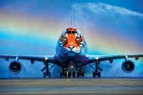 Lotnisku we Władywostoku, boeing z podobizną tygrysa syberyjskiego, uznawanego za gatunek zagrożony.