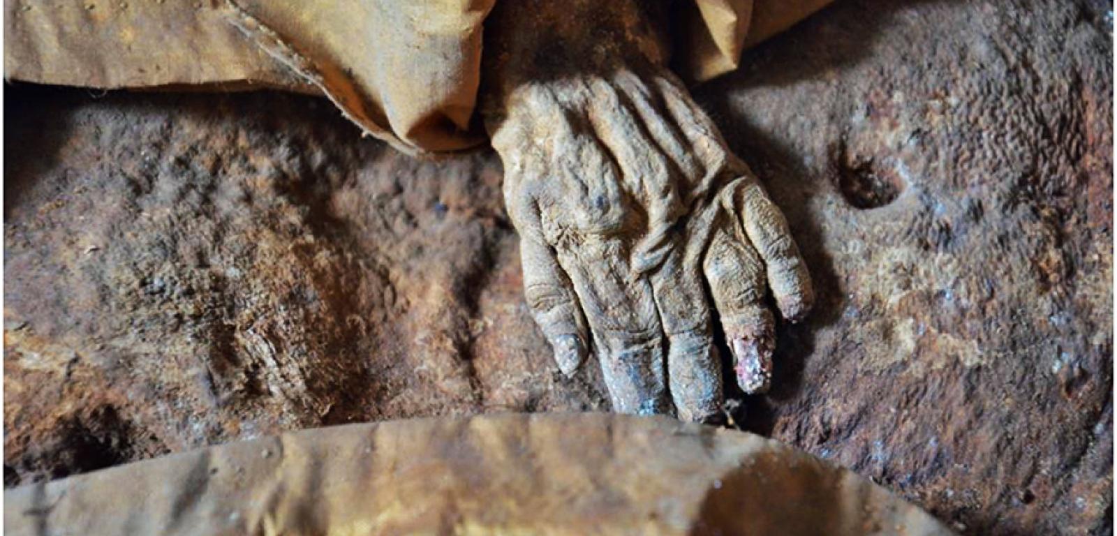 Doskonale zachowana naturalna mumia, owinięta w jedwabny płaszcz z kapturem, znajdowała się w nieoznakowanej trumnie w rodzinnej krypcie Starhembergów.