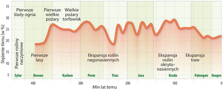 Zmiany ­stężenia tlenu atmosferycznego (czerwona ­linia) w ostatnich 450 mln lat, określone na podstawie ilości węgla ­drzewnego zachowanego w skałach.