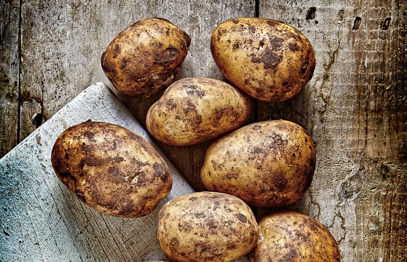 „Wielkim popularyzatorem warzywa stał się król pruski Fryderyk II Wielki. Nakazał masową uprawę ziemniaka, żeby ustrzec ludność od głodu”.