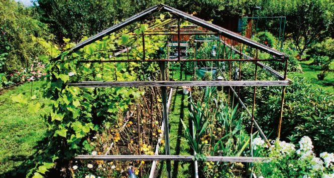 Co się kradnie na działkach?