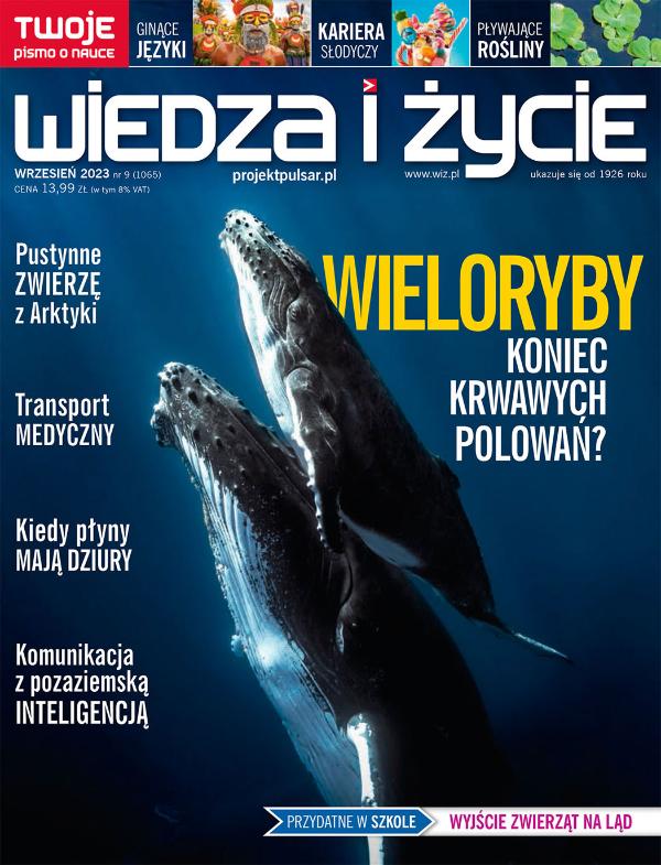 okładka wydania