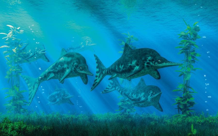 Ichtiozaury były wielkimi gadami zamieszkującymi morza jurajskie. Wymarły ok. 90 mln lat temu.