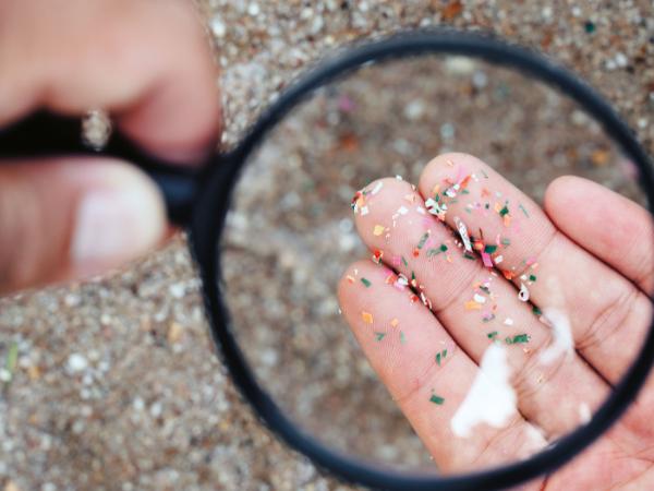 Mikroplastik; jego drobiny mają rozmiary od kilku do kilkunastu mikrometrów.