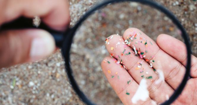 Mikroplastik; jego drobiny mają rozmiary od kilku do kilkunastu mikrometrów.