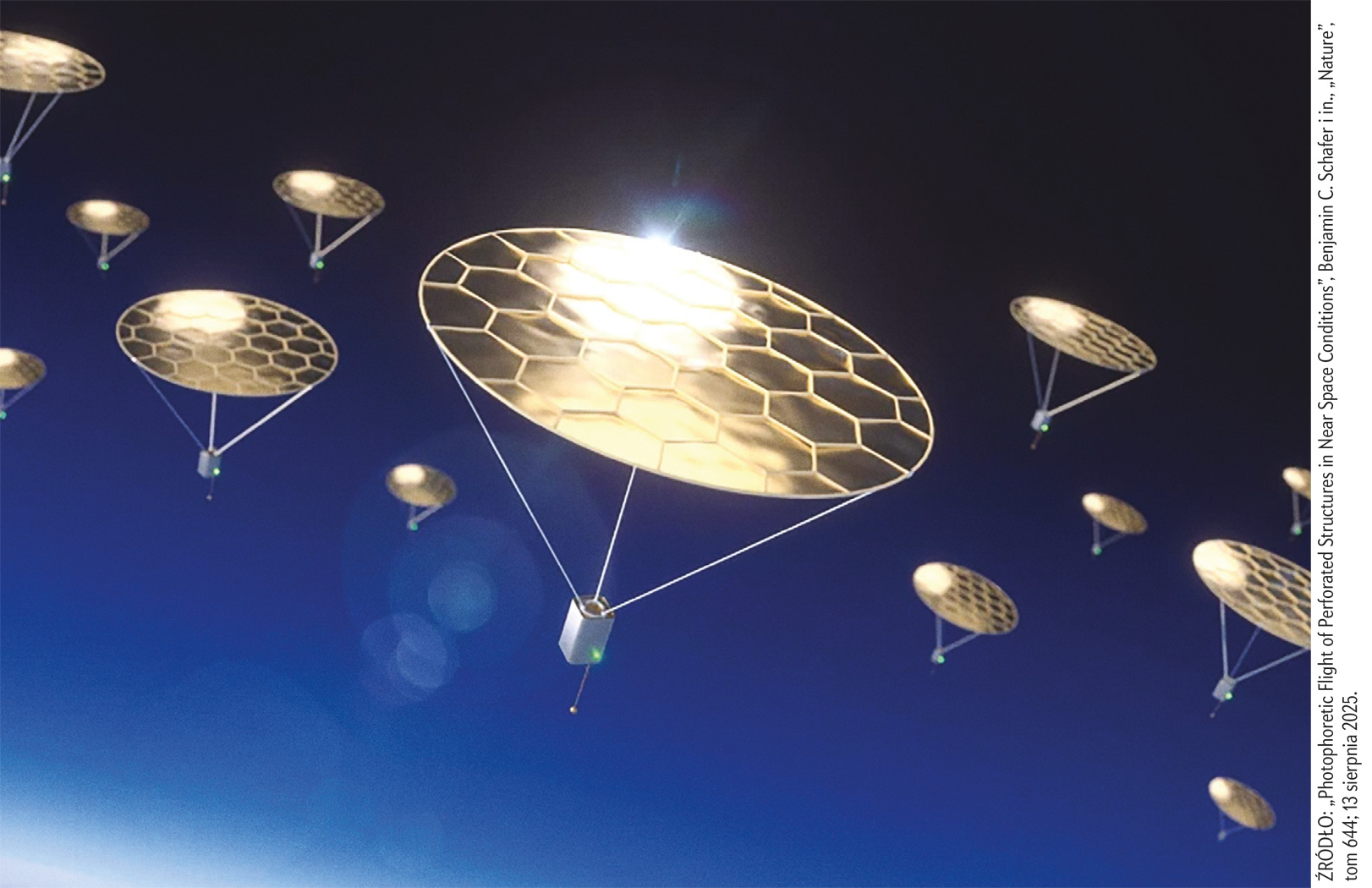 Maleńcy badacze ignorosfery