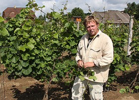 Łaz, winnica Miłosz. Krzysztof Fedorowicz