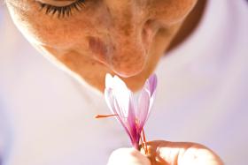 Trudno nazywać zapachy i bra­kuje nam wyspecjalizowanego słownictwa, bo sygnały węchowe są niedostępne dla obszarów językowych w mózgu.