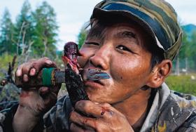 Paciakan nożem je i nożem atakuje.