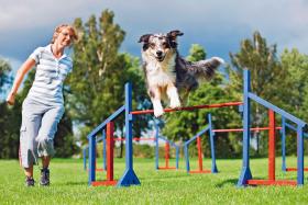 Agility - tor przeszkód dla psa; rolą właściciela jest odpowiednie naprowadzanie czworonoga.