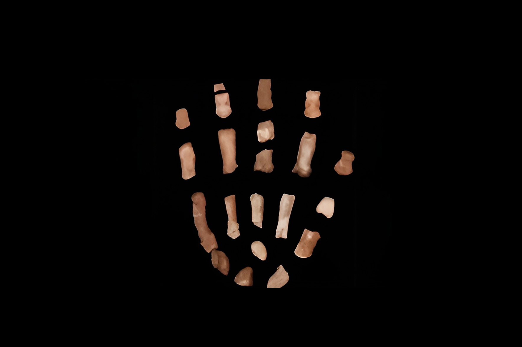 Paranthropus sprawnie chwytał. I łatwo nie puszczał